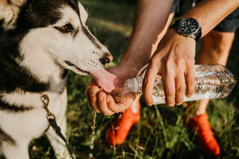 Taking Long Walks Without Carrying Water