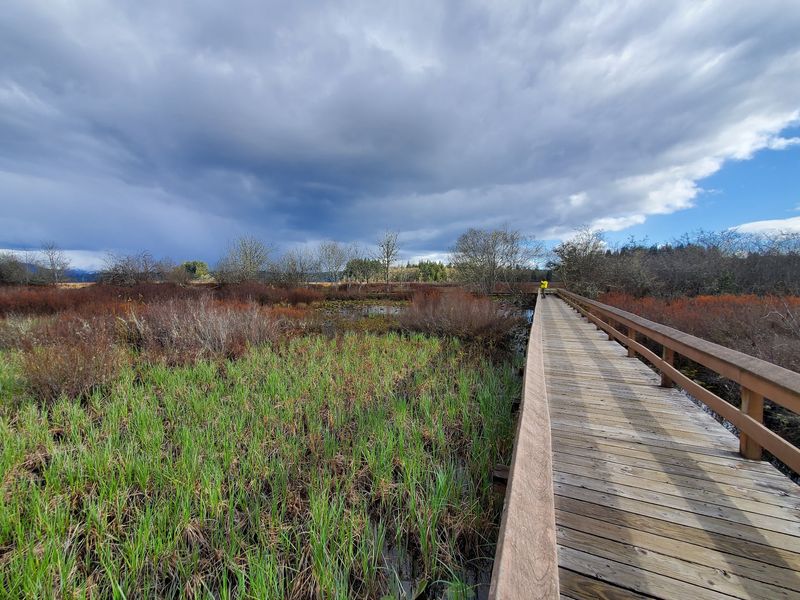 Hike Around Seaquest State Park