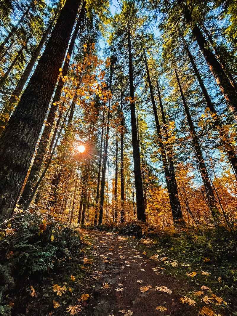 Spend a trail-heavy weekend at L.L. Stub Stewart State Park
