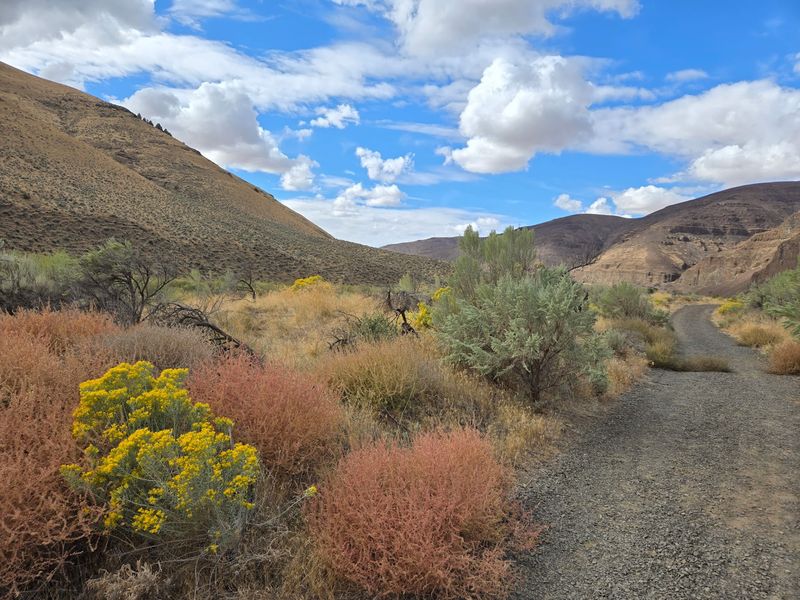 Hike at Cottonwood Canyon State Park