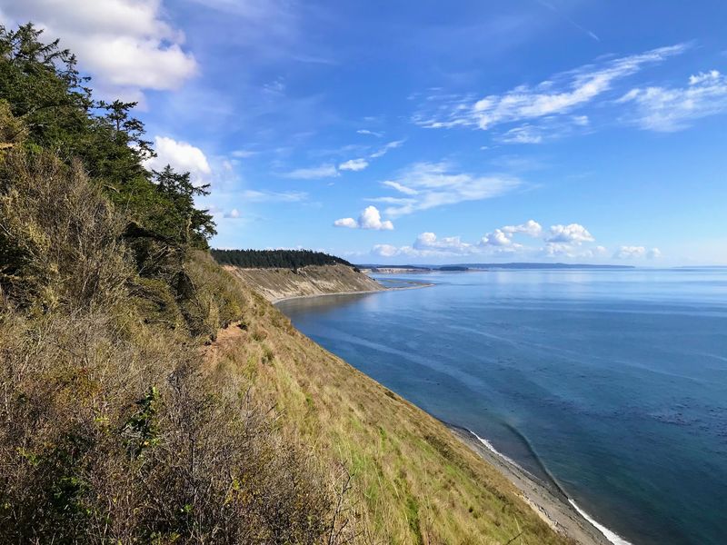 Walk The Bluffs At Fort Ebey State Park