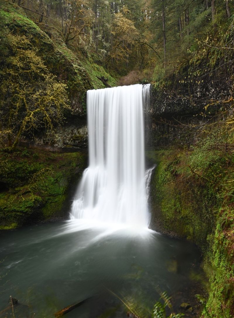 Visit Upper North Falls at Silver Falls State Park