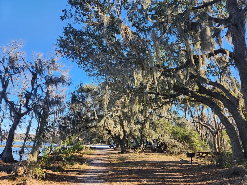 Camp and hike at Lake Louisa State Park