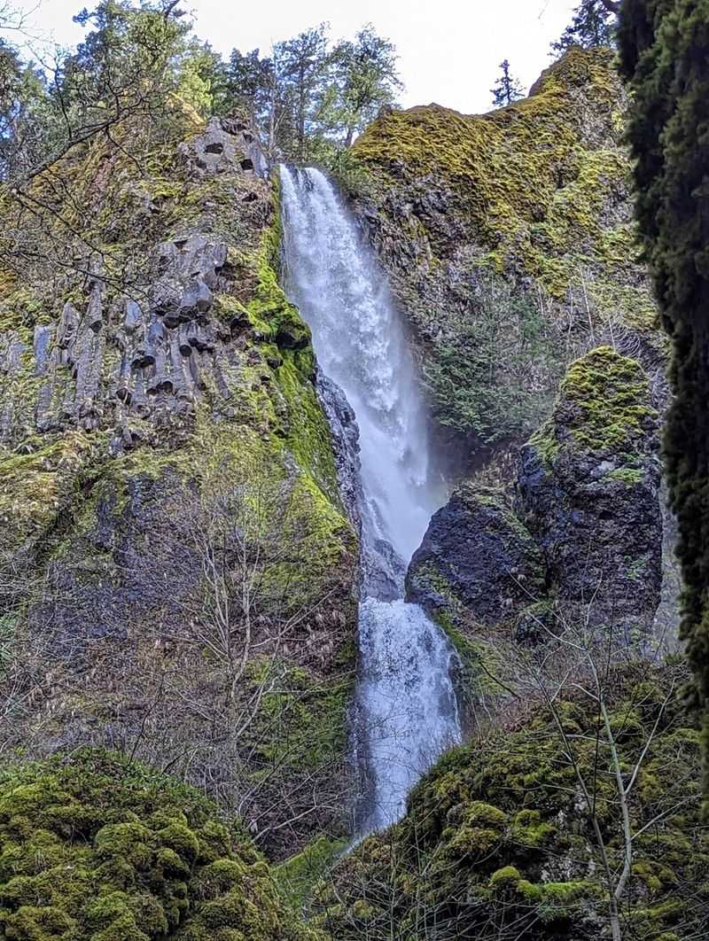 Hike around Starvation Creek