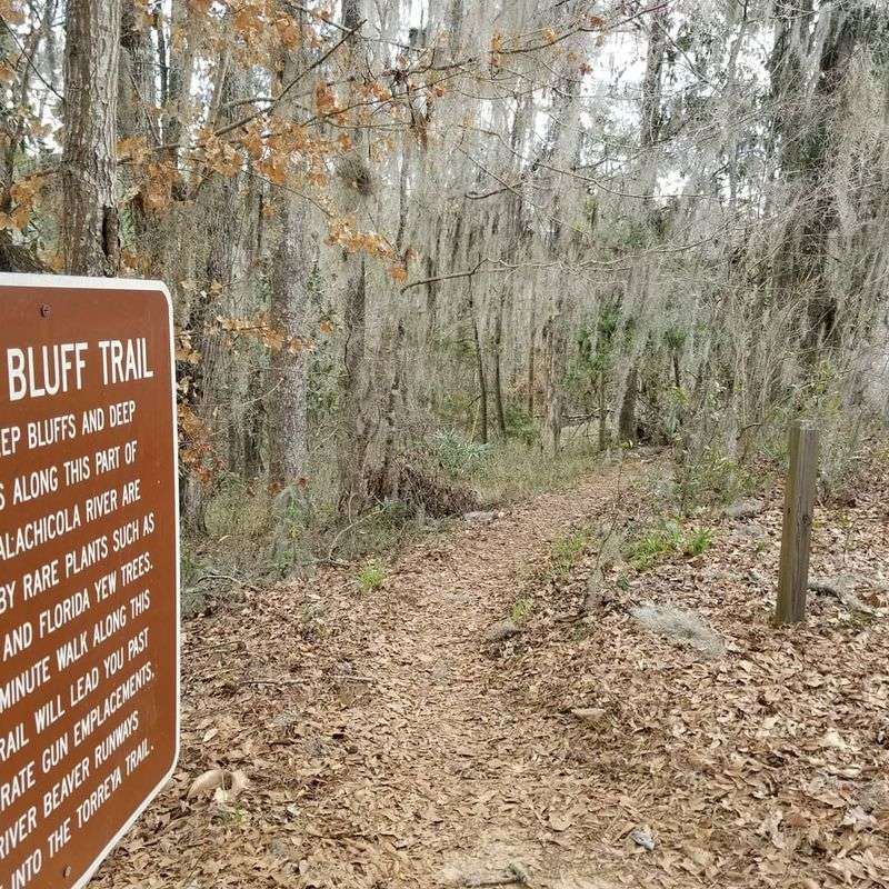 Hike the ravines at Torreya State Park