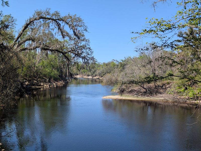 Hike and camp at Suwannee River State Park
