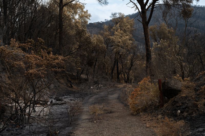 Trail Selection Shifts Along With The Wind