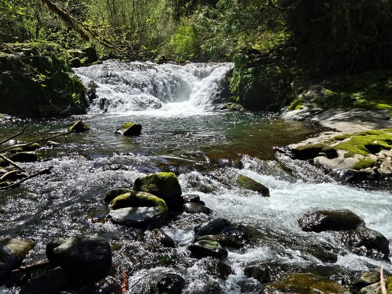 Sweet Creek Falls