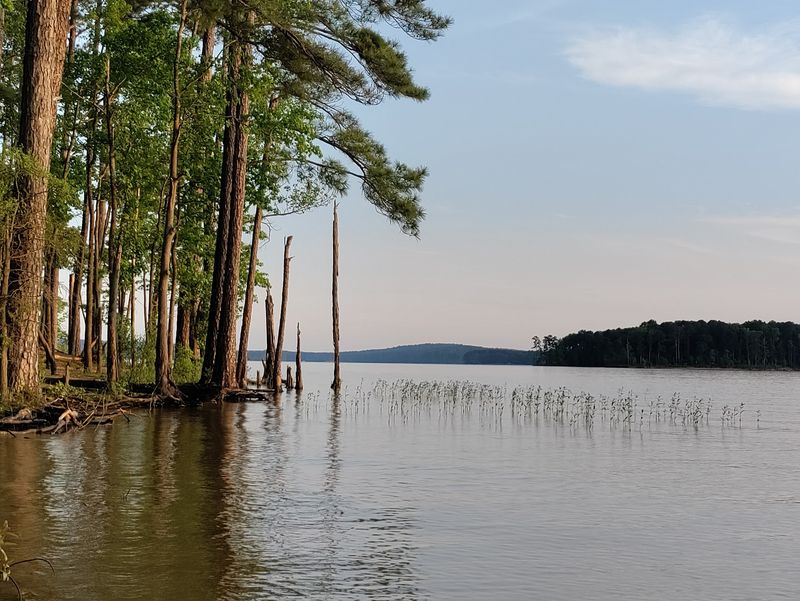 Jordan Lake Makes An Easy Camping And Hiking Getaway