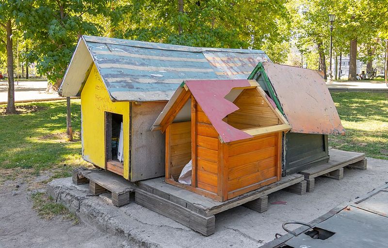 Certain Containers Are Illegal Housing for Dogs