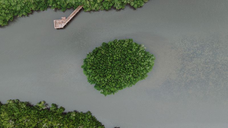 Brackish Coastal Water Deserves Equal Caution