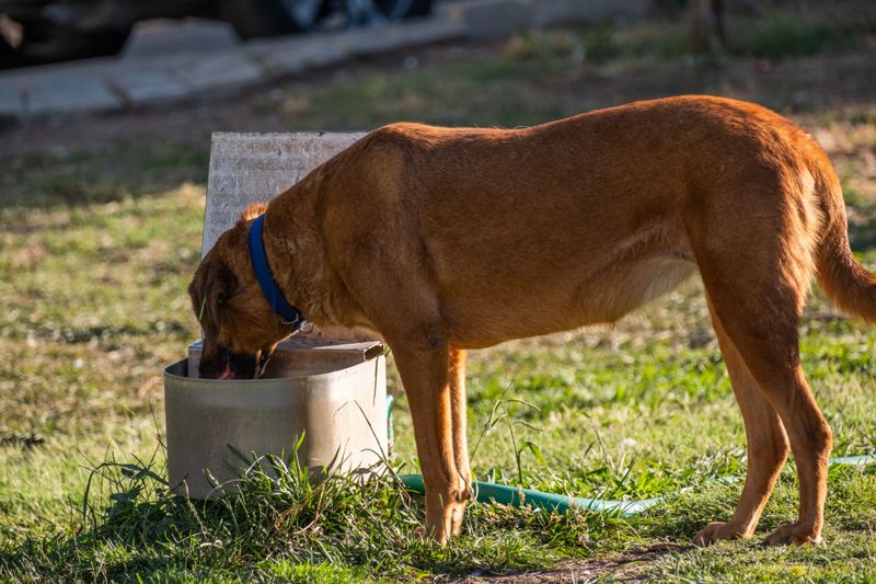 Stock Food And Water For A Week