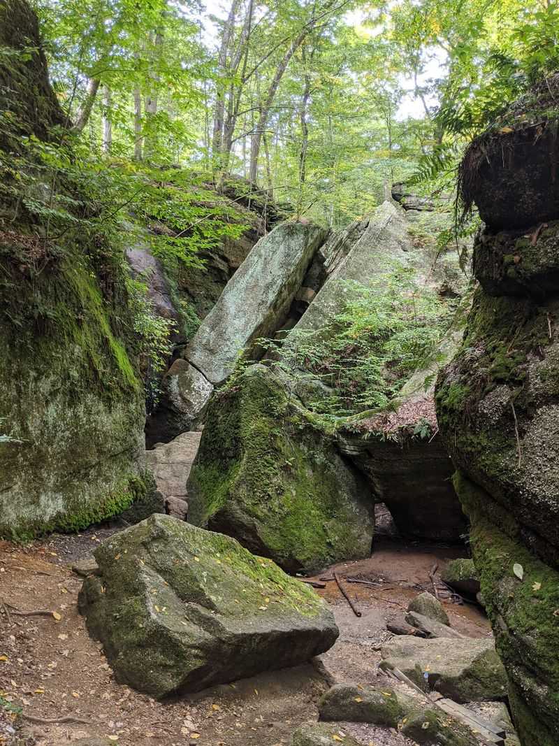 Nelson-Kennedy Ledges State Park, Garrettsville