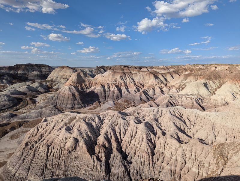 Holbrook And Petrified Forest National Park