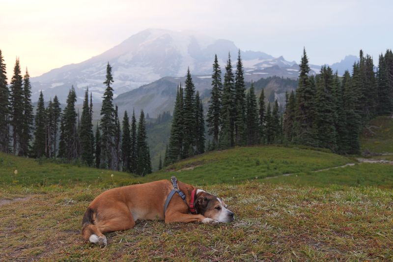 Trailhead Plans Deserve A Backup