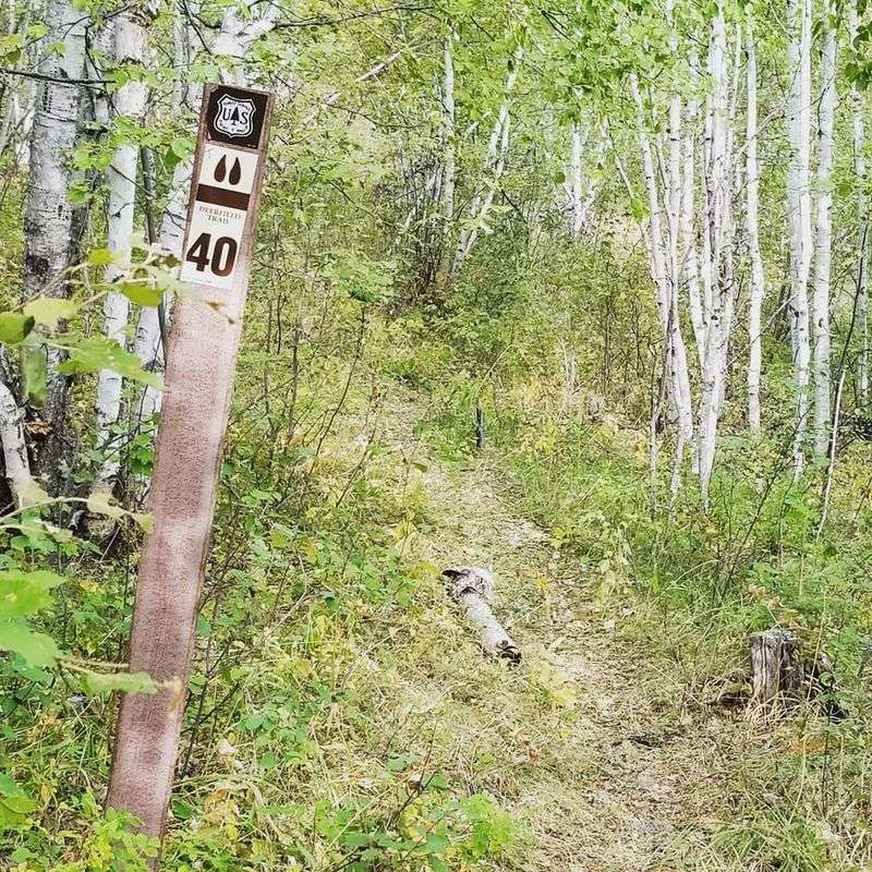 Deerfield Lake Loop Trail #40L