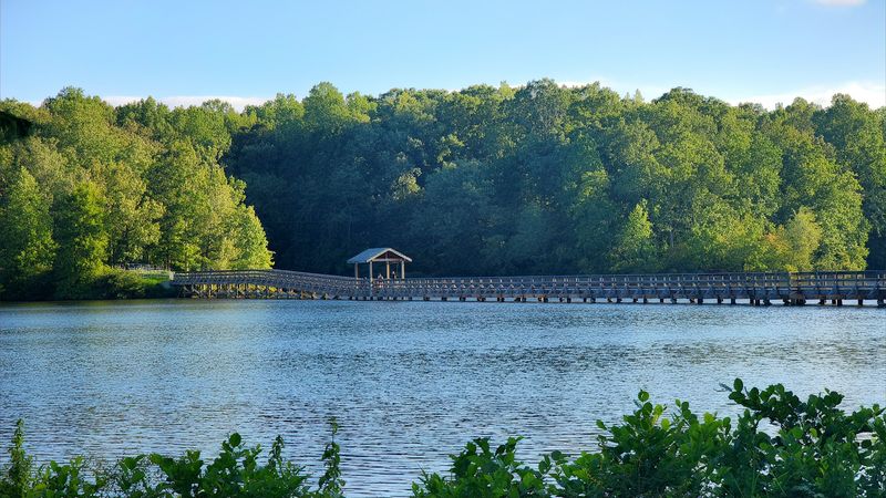 Amble Under the Pines at Chickasaw State Park