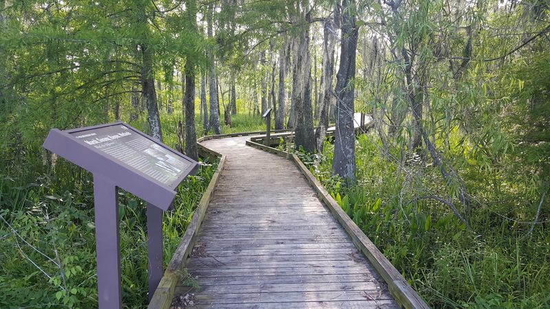 Enjoy A Break Along Bayou Teche