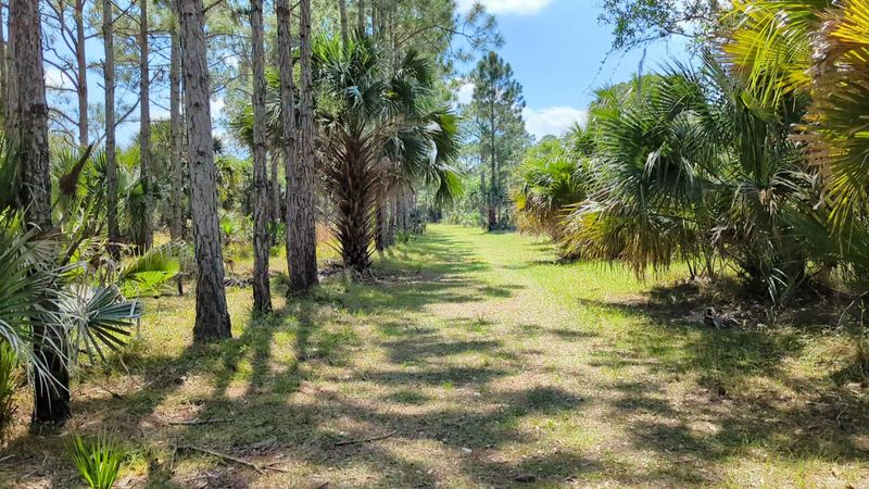 Explore the longleaf-pine trails at St. Sebastian River Preserve State Park