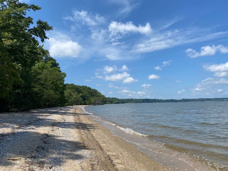 Walk the riverside trails at Chippokes State Park
