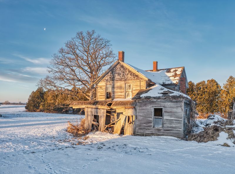 Outdoor Housing Must Handle Minnesota Weather
