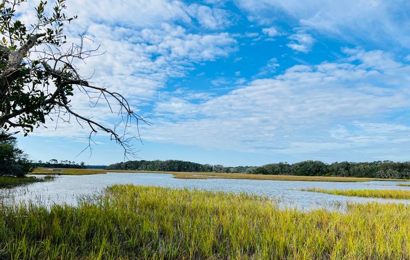 Little Talbot Island State Park Gives Dogs Room to Explore