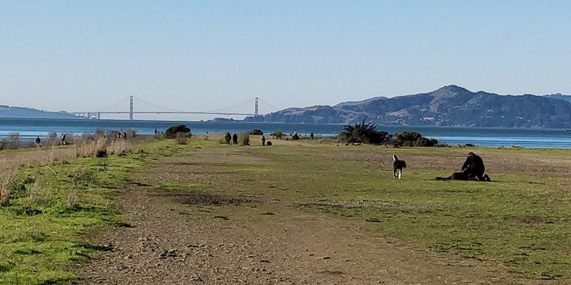 Point Isabel Regional Shoreline, Richmond