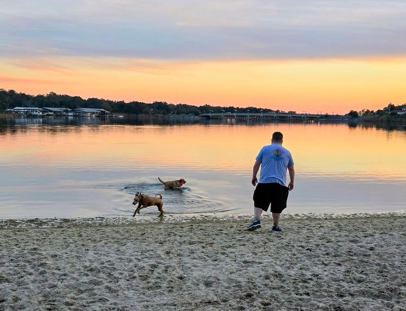 Bayview Park Dog Beach, Pensacola