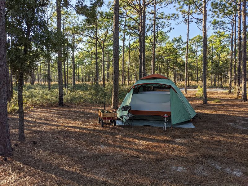 Carolina Beach State Park