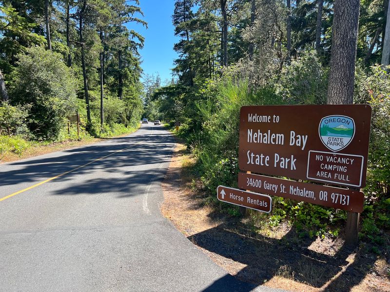 Forested Paths at Nehalem Bay State Park