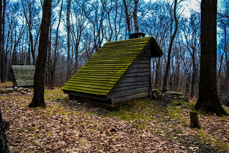 Laurel Highlands Hiking Trail
