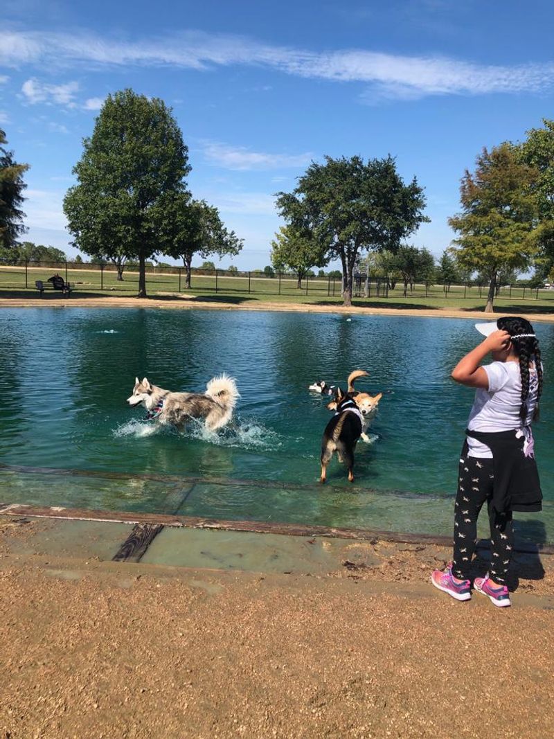 Houston: A Sprawling Playground for Pups