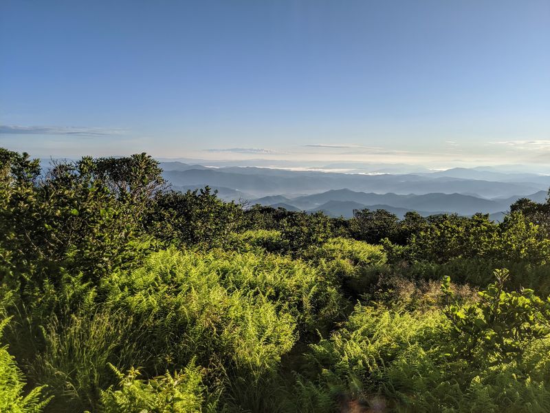 Roan Mountain and Upper East Tennessee