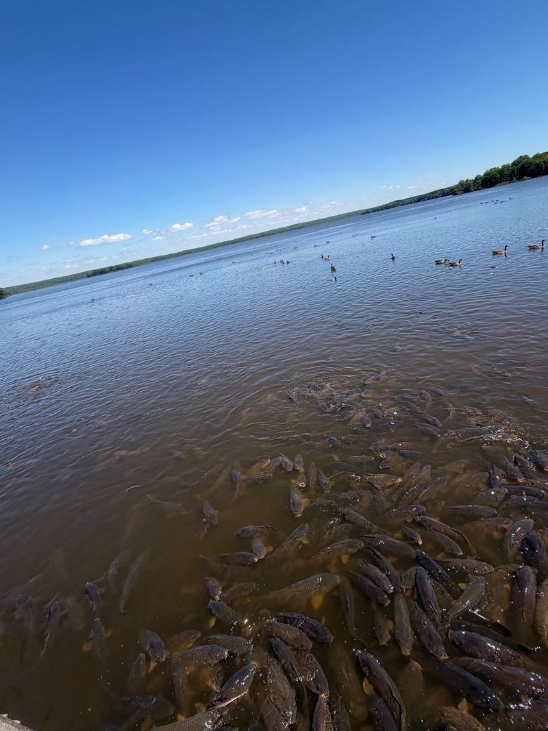 Pymatuning State Park, Jamestown