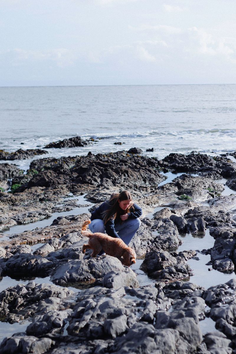 Watch Paws After Rocky Beach Walks