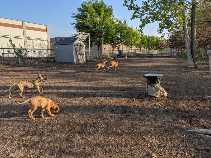 Bernard Dog Run, Pittsburgh