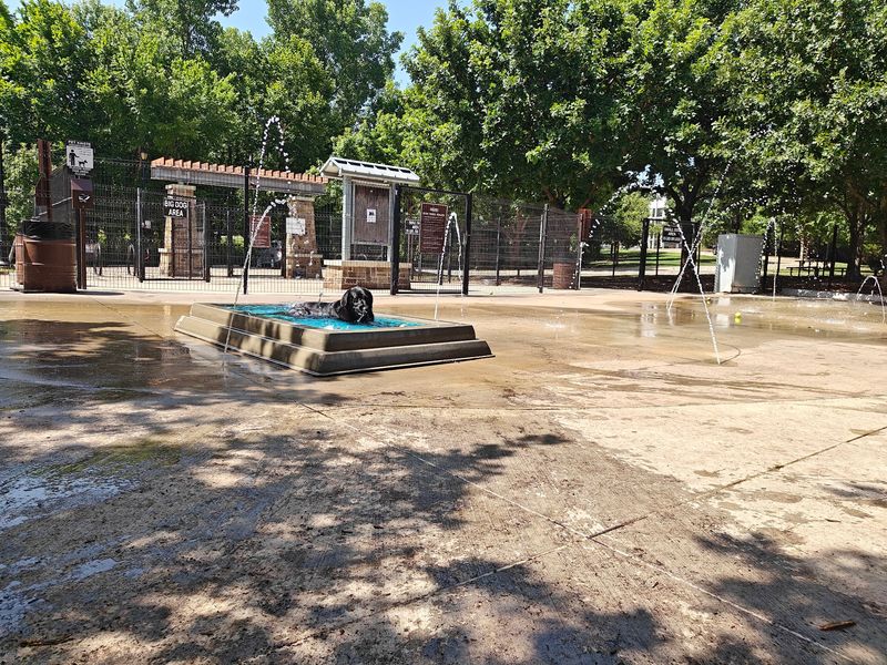 McKinney: Historic Square, Happy Hounds