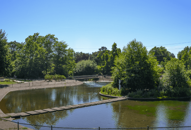 Alton Baker Park, Eugene