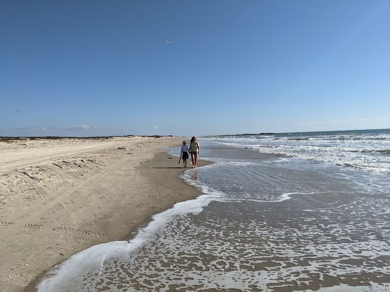 Corpus Christi: Bayfront Bliss for Beach Dogs