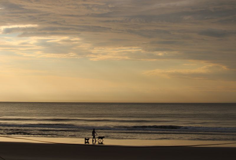 Litchfield Beach