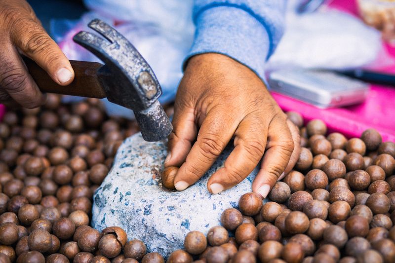 Macadamia Nuts