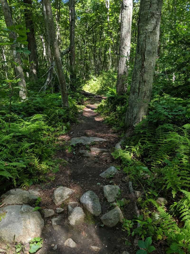 Bluff Point State Park, Groton