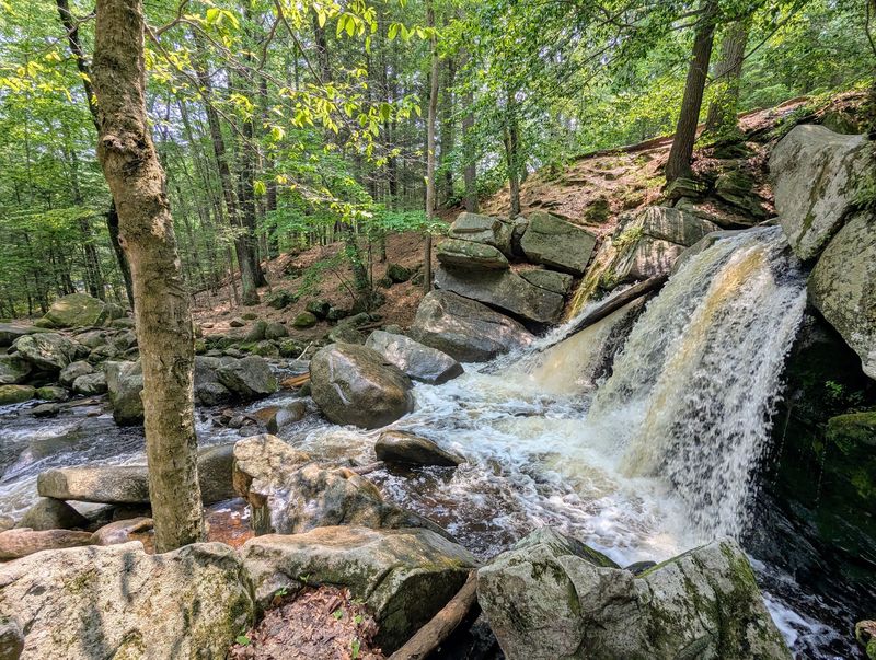 Willard Brook State Forest, Townsend