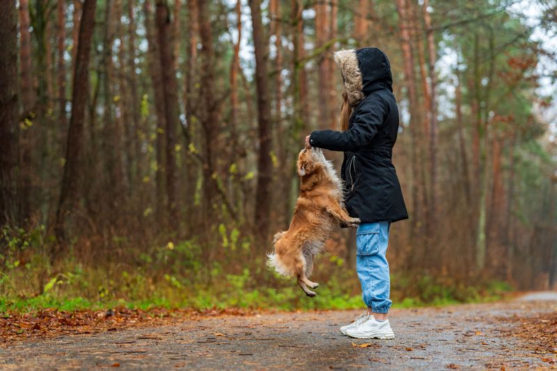 Retreat Slowly With Your Dog Tucked In Tight