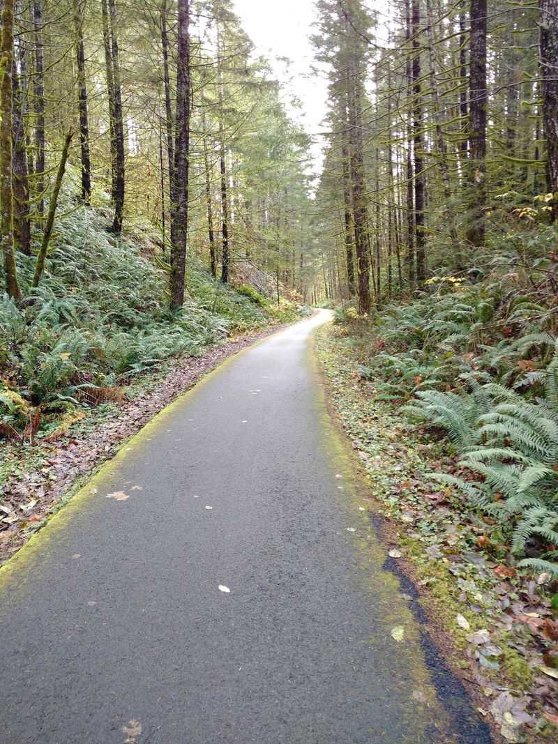 Banks-Vernonia State Trail