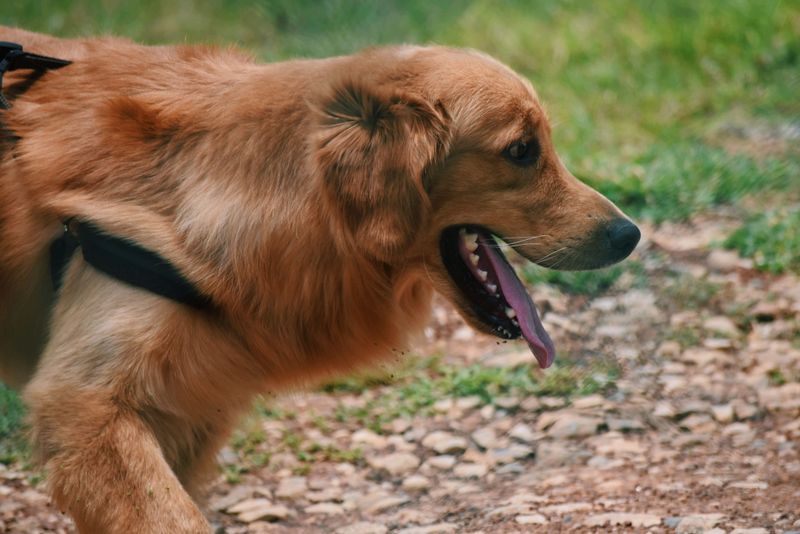 Recognize Early Warning Signs of Overheating Quickly