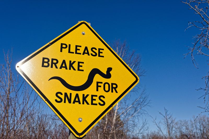Be Especially Careful Around Snakes