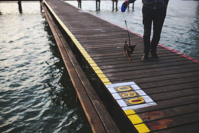 Keep Waterside Walks Focused and Controlled