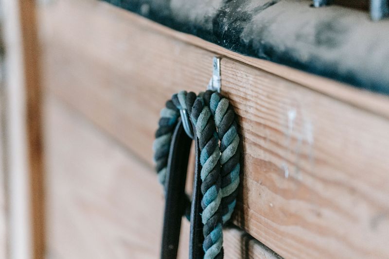 Keep a Leash Hanging Inside the Shelter Space