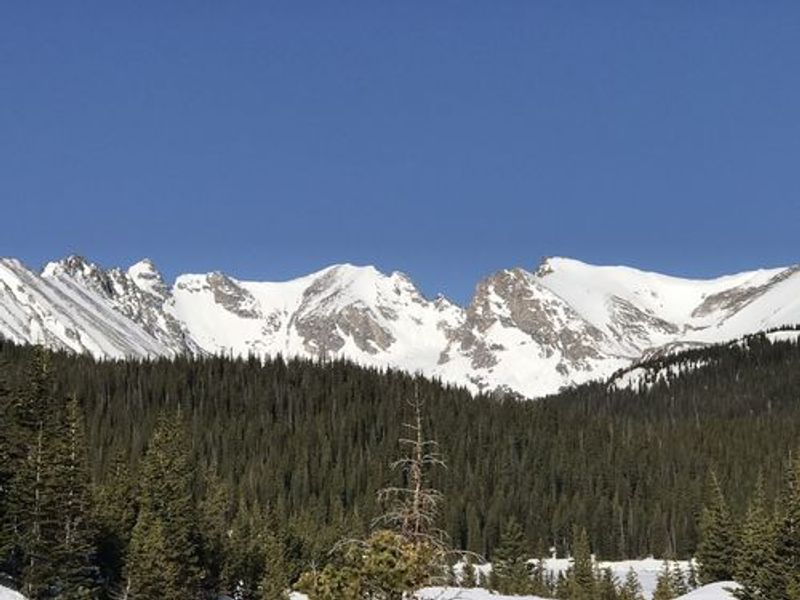 Winter Snowshoeing Near Brainard Lake, Dog Rules Included